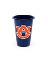 Auburn Enamelware 14 oz Tumblers, Set of 2